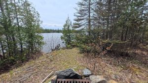 Campsite 1402