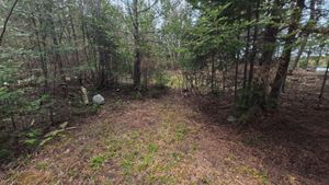 Campsite 1414