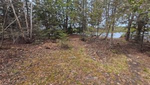 Campsite 1414