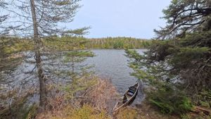 Campsite 2137