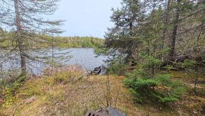 Campsite 2137