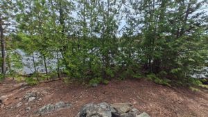 Campsite 1413