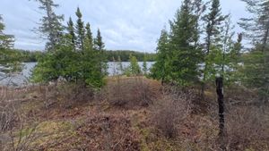 Campsite 1409