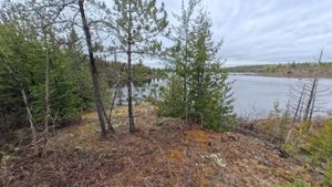 Campsite 1408