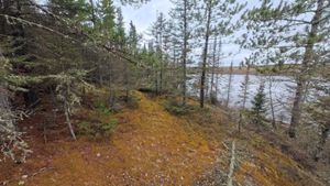Campsite 2319