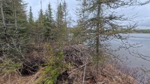 Campsite 1403
