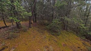 Campsite 1403