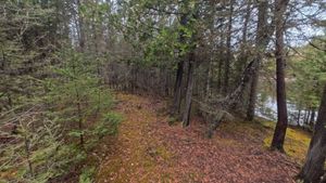 Campsite 1403