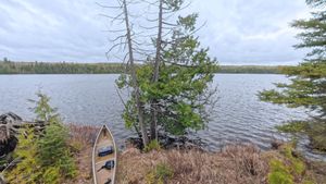 Campsite 2320