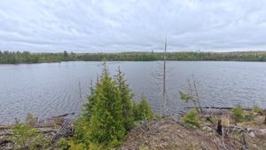Campsite 2320
