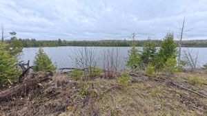 Campsite 2320