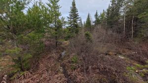 Campsite 1410
