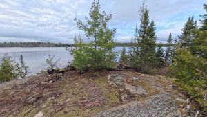 Campsite 1410
