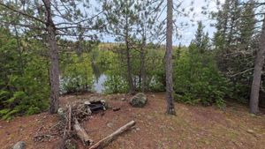 Campsite 1412