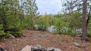 Campsite 1412