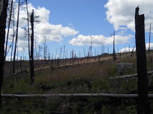 Fire Area