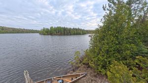 Campsite 1411