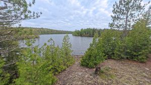 Campsite 1411