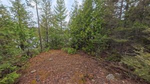 Campsite 1411