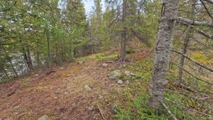Campsite 1452