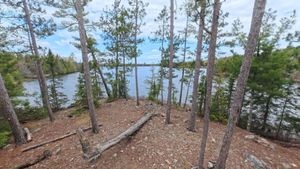 Campsite 1453