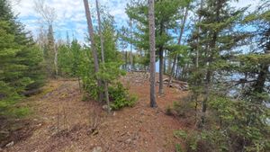 Campsite 1453
