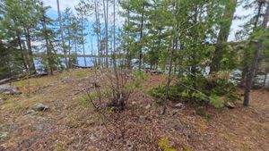 Campsite 1453