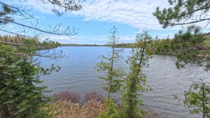 Campsite 1453