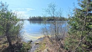 Portage 329