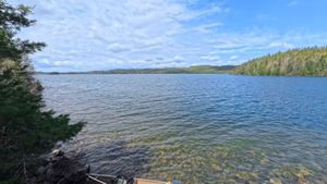 Campsite 1451