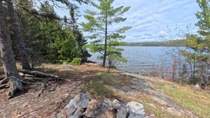Campsite 1451