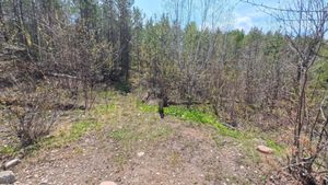 Campsite 1448