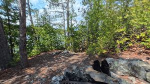 Campsite 1440