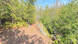 Campsite 1440