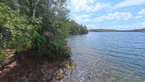 Campsite 1440