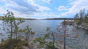 Campsite 1441