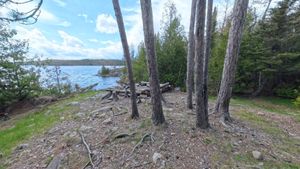 Campsite 1441