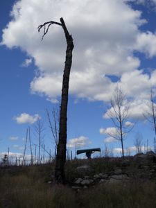 Portage