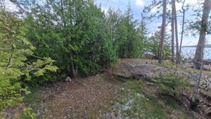 Campsite 1441