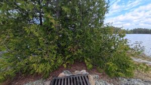 Campsite 1442