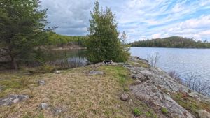 Campsite 1442
