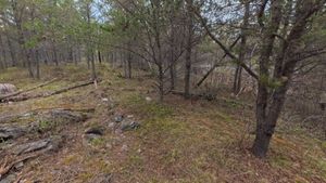 Campsite 1442