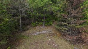 Campsite 1443