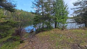 Campsite 1445