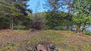 Campsite 1445