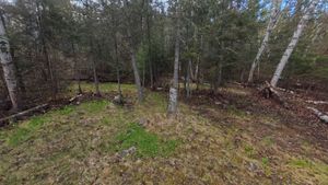 Campsite 1445