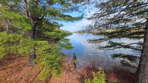 Campsite 1446