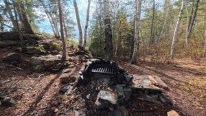 Campsite 1446