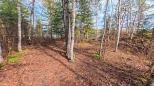 Campsite 1446