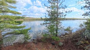 Campsite 1446